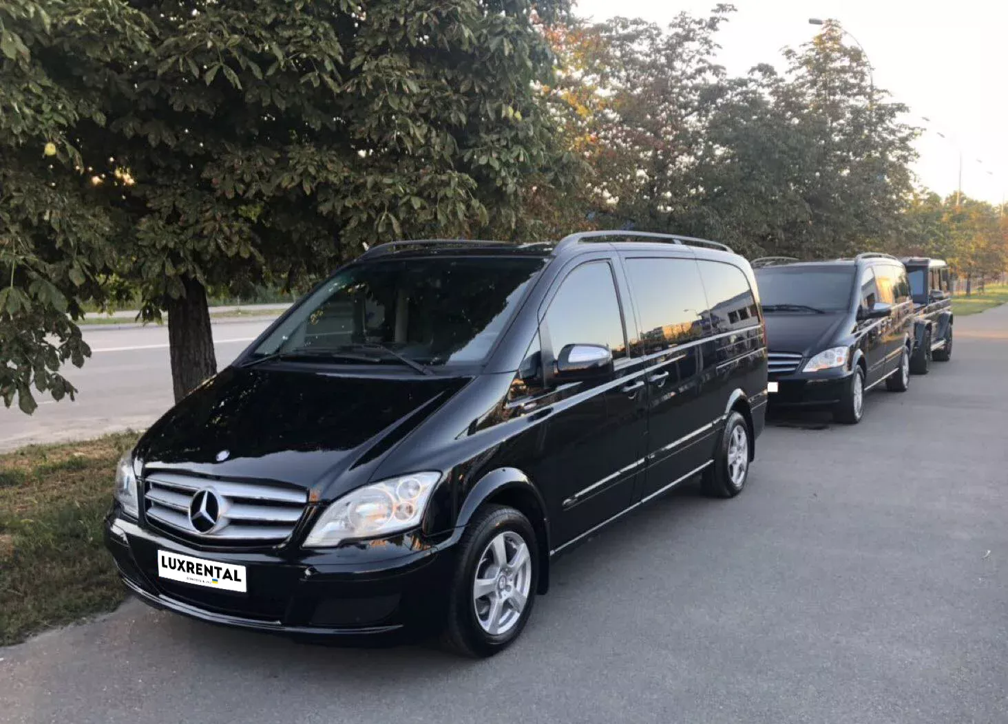 Mercedes Viano