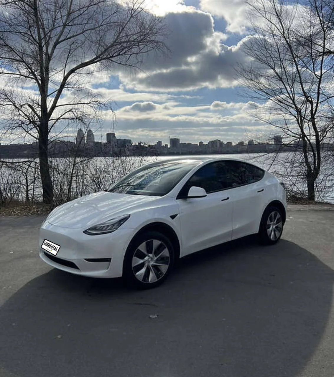 Tesla Y Фото 2